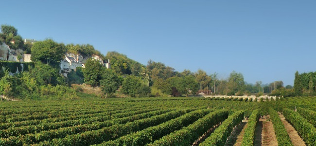 Justerini & Brooks launches exclusive fine wine events Justerini & Brooks launches exclusive fine wine events