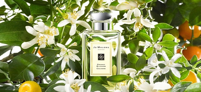 Create a bespoke scent at Jo Malone to capture your wedding memories Create a bespoke scent at Jo Malone to capture your wedding memories