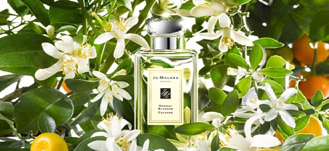 Create a bespoke scent at Jo Malone to capture your wedding memories