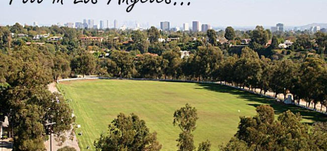 British Royalty to host Hollywood society at British Polo Day USA British Royalty to host Hollywood society at British Polo Day USA