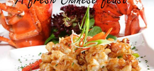 An authentic Chinese dining experience at Royal China An authentic Chinese dining experience at Royal China