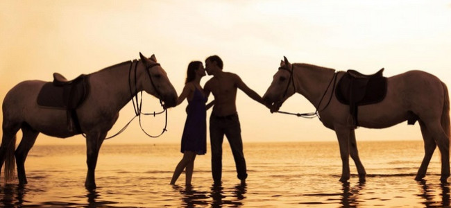 Fall in love with horse riding