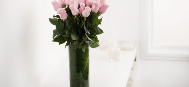 Mother’s Day Gift Ideas Mother’s Day Gift Ideas
