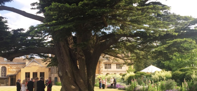 Nevill Holt Opera Review: A quintessential English event Nevill Holt Opera Review: A quintessential English event