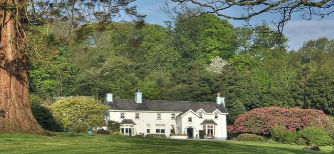 Ynyshir Hall: Enjoy a luxury hotel break with your dog in beautiful countryside Ynyshir Hall: Enjoy a luxury hotel break with your dog in beautiful countryside