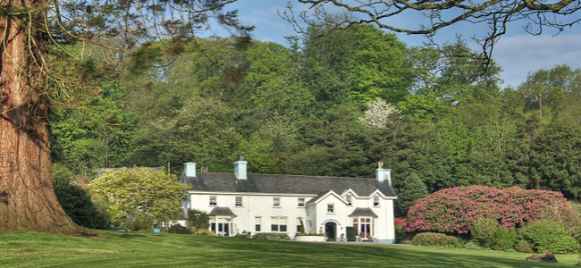 Ynyshir Hall: Enjoy a luxury hotel break with your dog in beautiful countryside