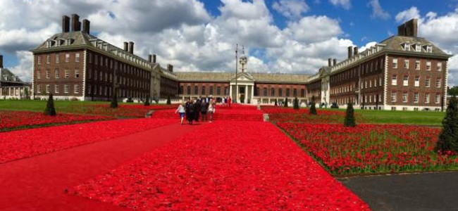 A sunny start to the RHS Chelsea Flower Show 2016