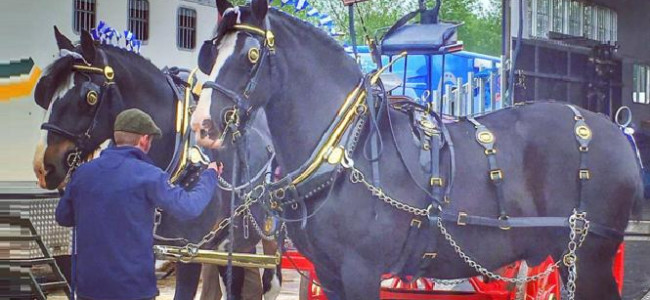 The Royal Bath and West Show