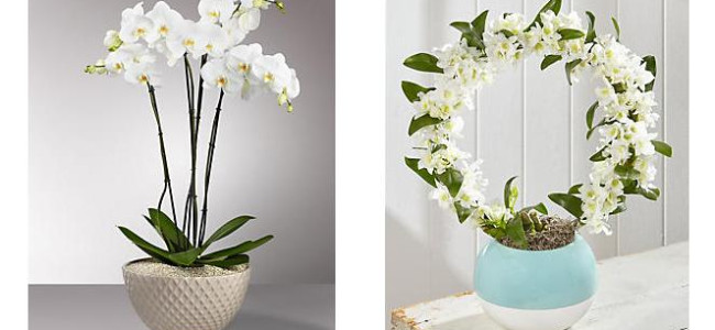 Cream Dream: Interior accessories for the summer months Cream Dream: Interior accessories for the summer months