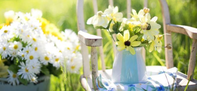 5 Ways To Enhance Your Summer Garden 5 Ways To Enhance Your Summer Garden