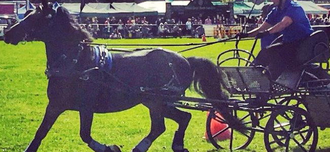 Living Heritage Wiltshire Game and Country Fair at Bowood