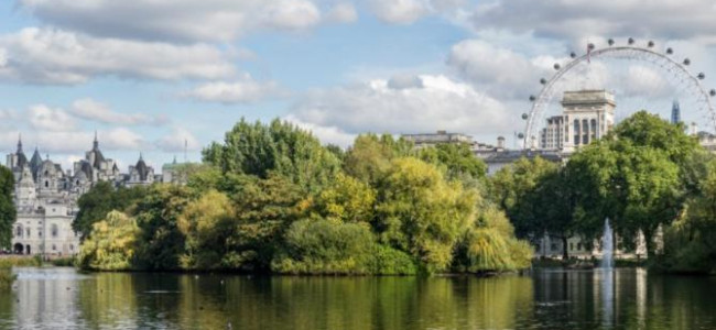 Enjoy a luxurious stay in a fabulous location at The Stafford London Enjoy a luxurious stay in a fabulous location at The Stafford London