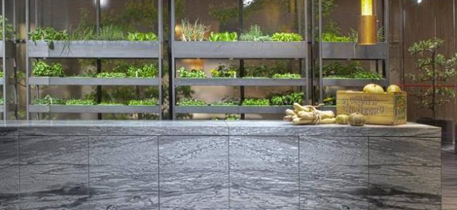 Rossana to launch the ultimate luxury kitchen at the Saatchi Gallery Rossana to launch the ultimate luxury kitchen at the Saatchi Gallery