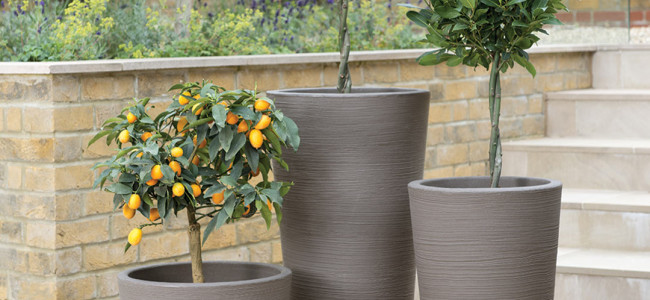 Planters to add height to your outdoor space