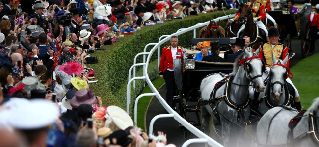 Goffs London Sale marks the start of Royal Ascot week