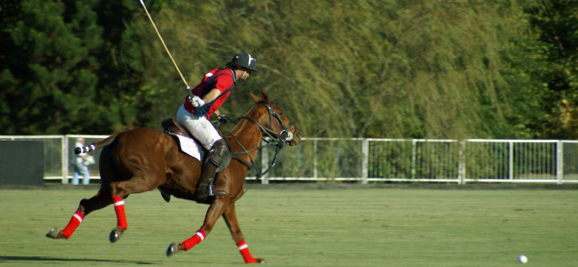 Polo experiences in London City