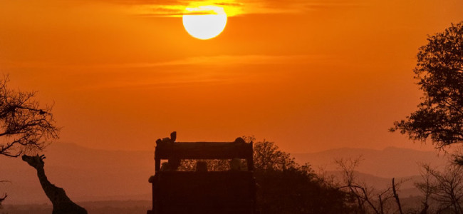 A memorable African experience at the Inzolo Exclusive Game Lodge