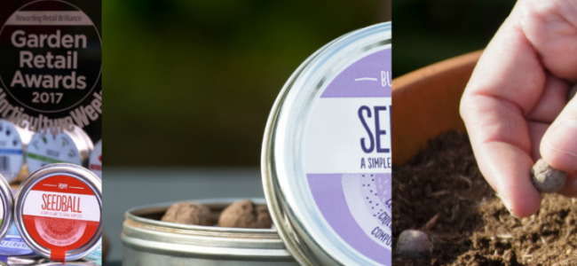 Seedball: Easy to plant wildflowers that will bring your garden to life Seedball: Easy to plant wildflowers that will bring your garden to life