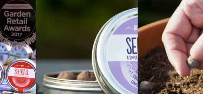 Seedball: Easy to plant wildflowers that will bring your garden to life