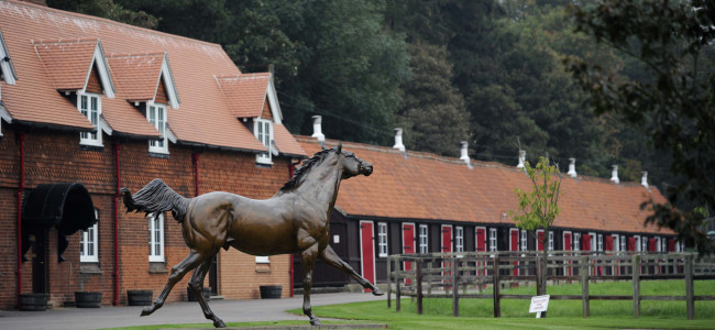 Discover Newmarket: Get exclusive access to Cheveley Park Stud