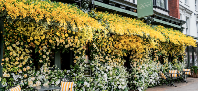 The Ivy Chelsea Garden unveils stunning floral installation by Jenny Packham The Ivy Chelsea Garden unveils stunning floral installation by Jenny Packham