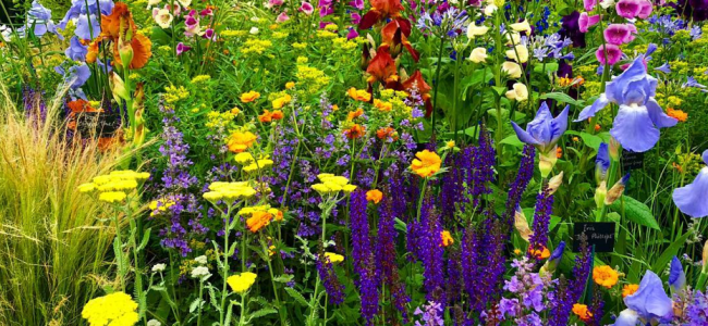 Chelsea Flower Show 2018: Garden and floral highlights Chelsea Flower Show 2018: Garden and floral highlights