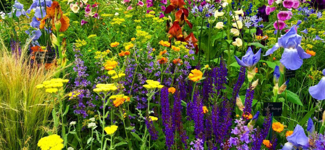 Chelsea Flower Show 2018: Garden and floral highlights