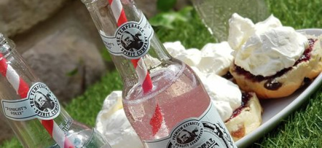 Mum-to-be Diary: Teetotal doesn’t have to spell the end of fun! Mum-to-be Diary: Teetotal doesn’t have to spell the end of fun!