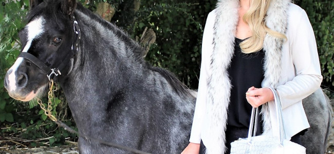 Shop the Kate Negus collection at Olympia Horse Show