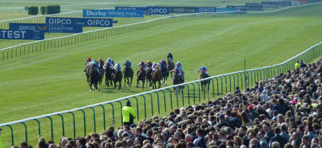 Top class racing and entertainment at the Dubai Future Champions Festival 2018 Top class racing and entertainment at the Dubai Future Champions Festival 2018