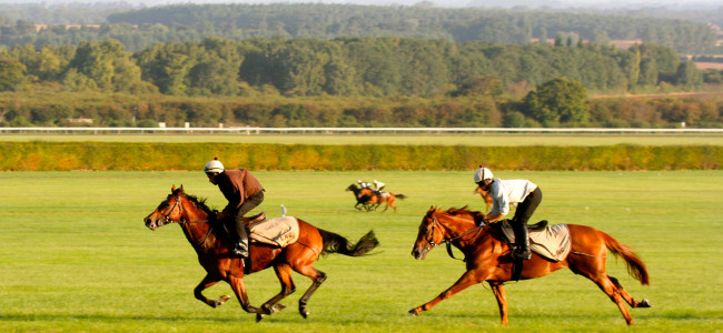 Set hearts racing on Valentine’s Day with a VIP tour of the home of horseracing