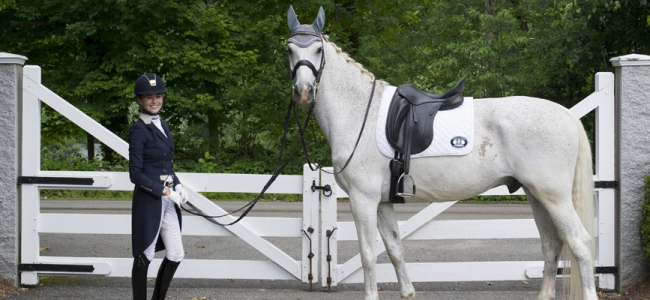 Basics tips that will help you provide complete care to your horse Basics tips that will help you provide complete care to your horse