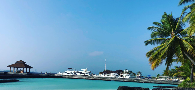 Luxurious Cruises That Beat the Winter Chill Luxurious Cruises That Beat the Winter Chill