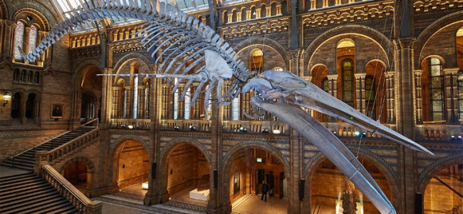 A Guide To the Perfect Family Vacation in London A Guide To the Perfect Family Vacation in London