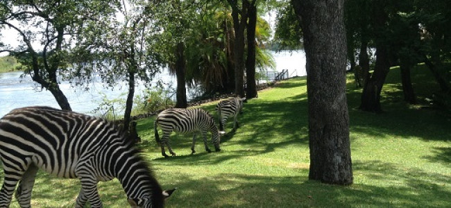 The Royal Livingstone Hotel in Zambia continues to  impress with its spectacular views and hospitality