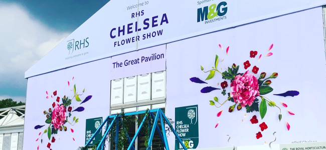 The Duchess of Cambridge introduces her garden to the Queen at the RHS Chelsea Flower Show The Duchess of Cambridge introduces her garden to the Queen at the RHS Chelsea Flower Show
