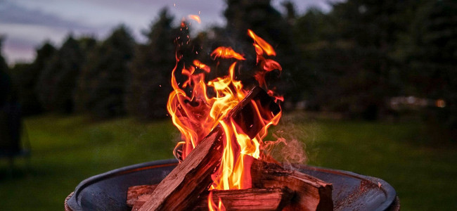 How to make the most of your garden this winter How to make the most of your garden this winter
