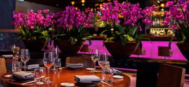 Amazing gift collection is launched to mark 10 Years of Novikov London Amazing gift collection is launched to mark 10 Years of Novikov London