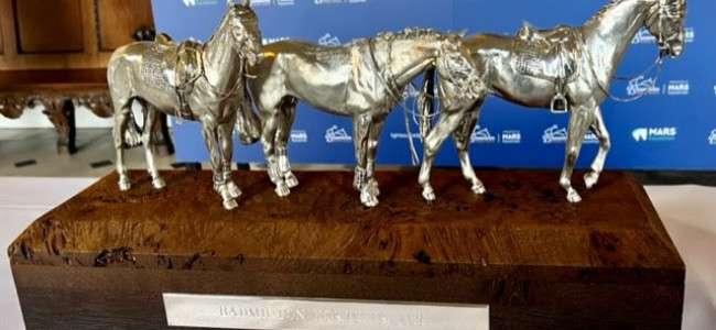 The Season 2022: New Badminton Horse Trials trophy revealed The Season 2022: New Badminton Horse Trials trophy revealed