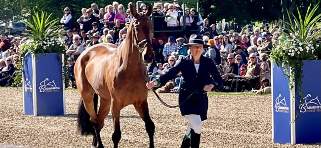 Badminton Horse Trials Trot Up 2022: The Fashion Report