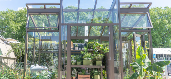 The Season 2023: Hartley Botanic reveals its plans for the RHS Chelsea Flower Show The Season 2023: Hartley Botanic reveals its plans for the RHS Chelsea Flower Show