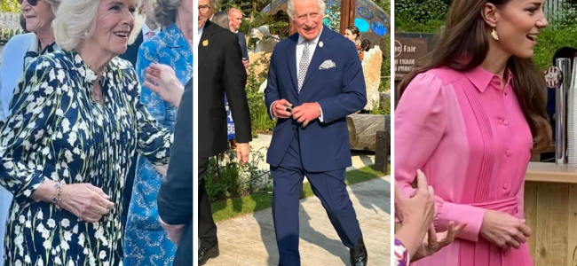 RHS Chelsea Flower Show 2023 Social Diary: Royalty and famous faces show support for the leading horticultural show RHS Chelsea Flower Show 2023 Social Diary: Royalty and famous faces show support for the leading horticultural show