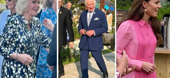 RHS Chelsea Flower Show 2023 Social Diary: Royalty and famous faces show support for the leading horticultural show