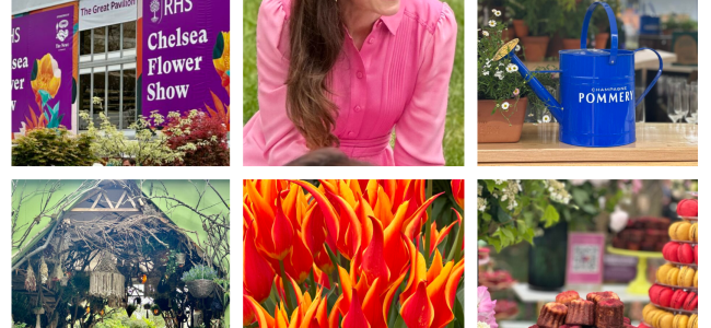 The RHS Chelsea Flower Show in pictures The RHS Chelsea Flower Show in pictures