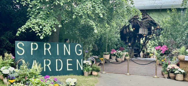Skye Gyngell cooks for the VIPs in Spring Garden at the RHS Chelsea Flower Show Skye Gyngell cooks for the VIPs in Spring Garden at the RHS Chelsea Flower Show