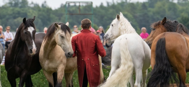 Thrilling new acts at The Cotswold Show and Food Festival for 2023 Thrilling new acts at The Cotswold Show and Food Festival for 2023