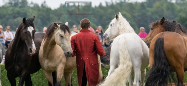 Thrilling new acts at The Cotswold Show and Food Festival for 2023