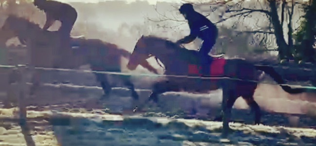 The Gallop to Goodwood: Watch the journey to the big race on Sloaney TV The Gallop to Goodwood: Watch the journey to the big race on Sloaney TV