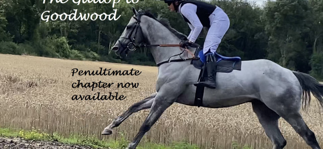 The Gallop to Goodwood: Penultimate chapter released The Gallop to Goodwood: Penultimate chapter released