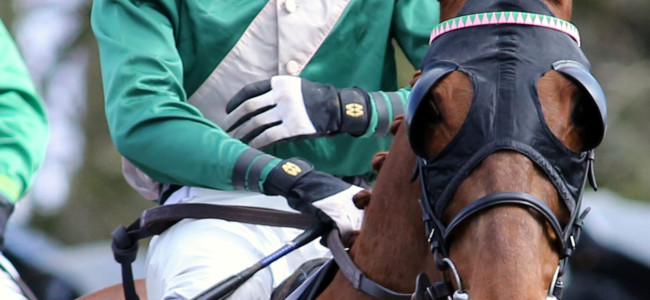 Racing: Hannah and Andrew Broggio owned Whenharrymetsally wins Racing: Hannah and Andrew Broggio owned Whenharrymetsally wins